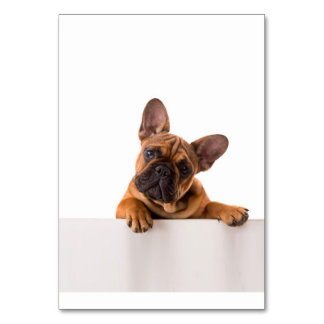 Numéro De Table mignon Bulldog | Vraiment mignon, Bulldog anglais