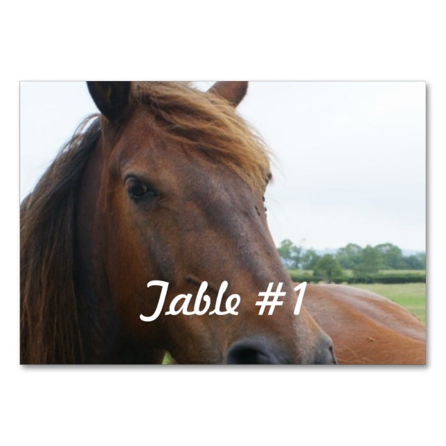 Numéro De Table Mustang (Devant)