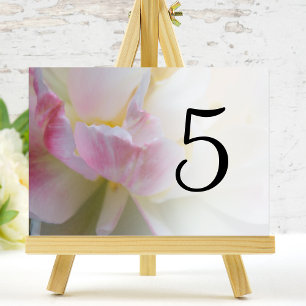 Numéro De Table Numéros de tableau des fleurs de tulipes roses et