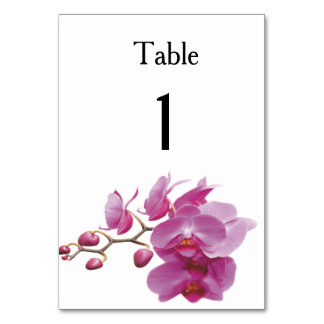 Numéro De Table Orchidées Packages Mariages bon marché ensembles d
