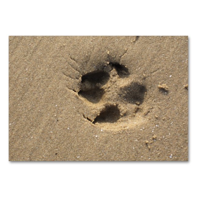 Numéro De Table Paw track (Devant)