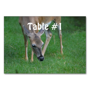 Numéro De Table Personnaliser
