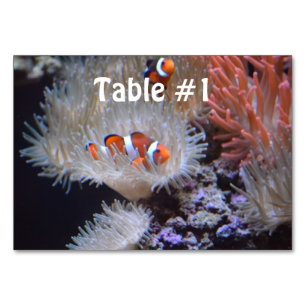 Numéro De Table Poisson clown