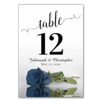 Reflet Dusty Steel Blue Rose Élégant mariage