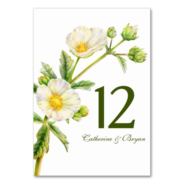 Numéro De Table Rose rocher aquarelle fleurie mariage numéro de ta (Par défaut)