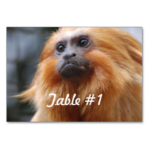 Numéro De Table Singe d'or de Tamarin de lion