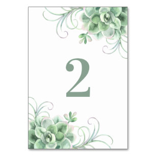 Numéro De Table Succulents mariage. Cactus vert. Cactus aquarelle