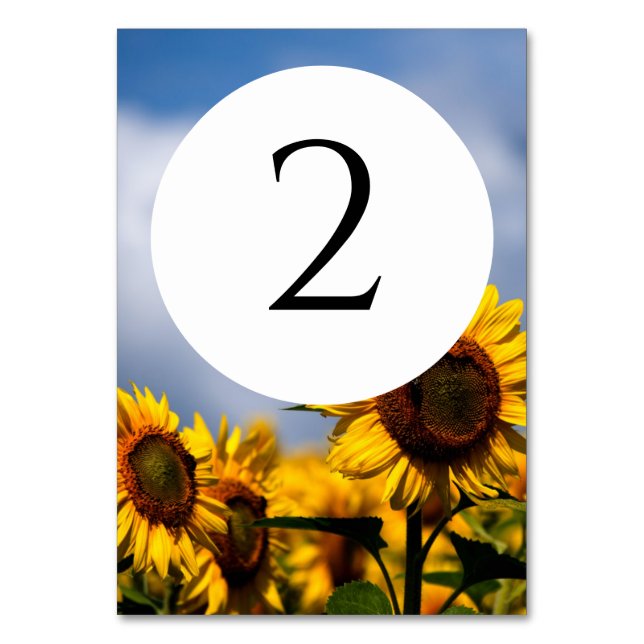 Numéro De Table Sunflower Blue Sky Rustique Mariage (Par défaut)