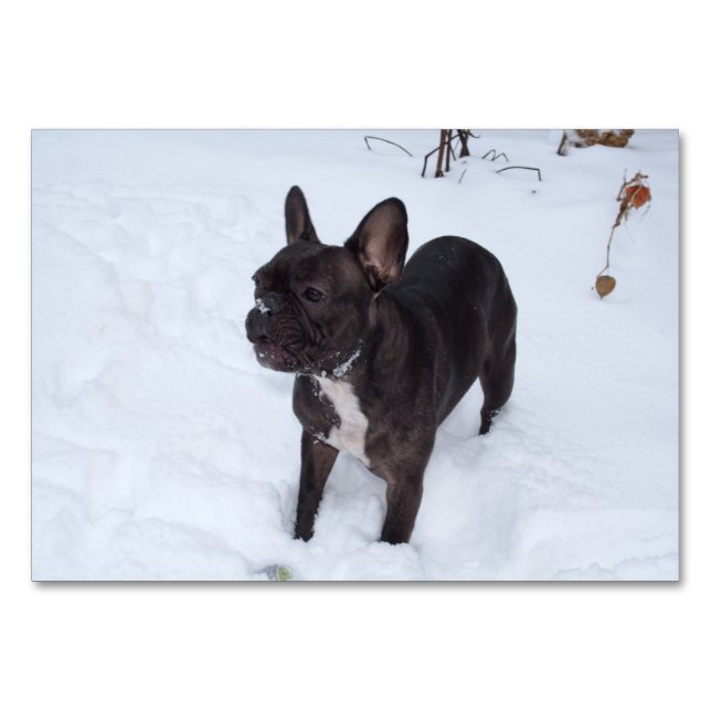 Numéro De Table Sweet Black French Bulldog aime la neige (Devant)