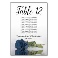 Tableau de sièges Mariage en acier bleu Dusty