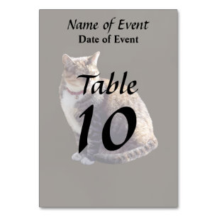 Numéro De Table Tortoiseshell