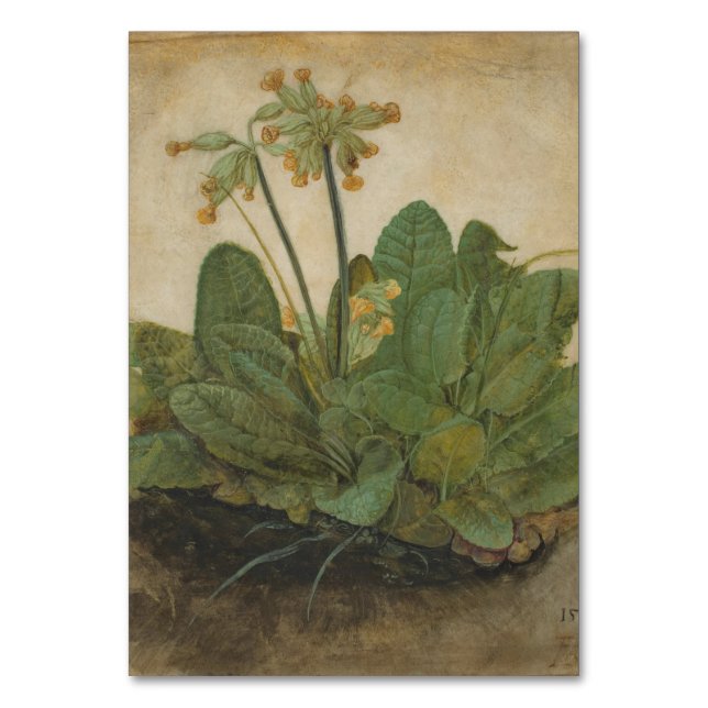 Numéro De Table Tuft of Cowslips par Albrecht Durer (Par défaut)