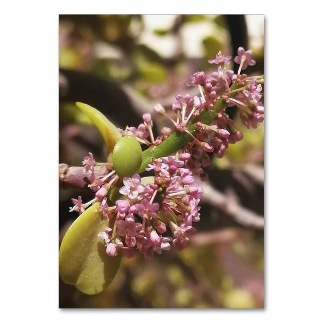 Numéro De Table Vue de l'environnement réel (Dos)