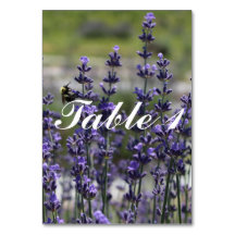 Numéros de table du Mariage de prêteur