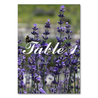 Numéros de table du Mariage de prêteur