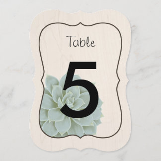 Numéros de table succulents rustiques