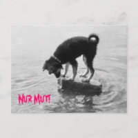 Nur Mut!