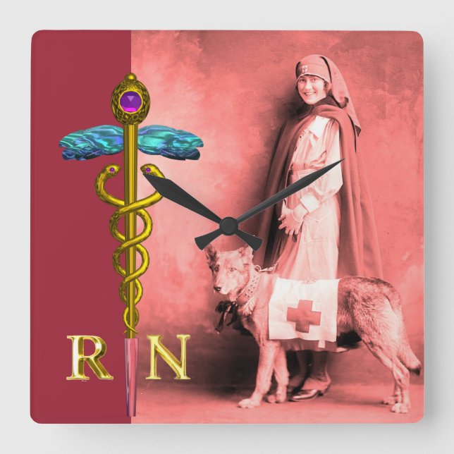 NURSE AND RESCUE DOG /Gold Caduceus RN Emblem Square Wall Clock (Front)