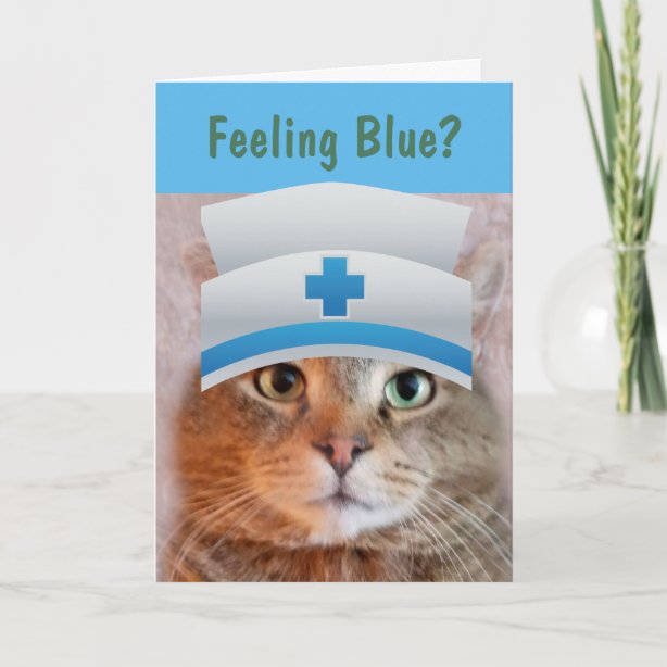 Funny cat get well cards well wishes cards zazzle ca