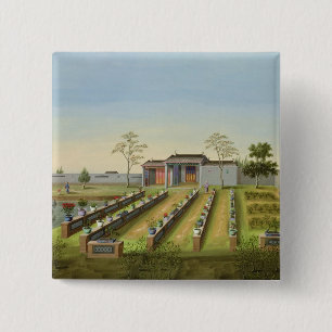 Nursery Garden, c.1820-40 (w/c on paper) 2 Inch Square Button