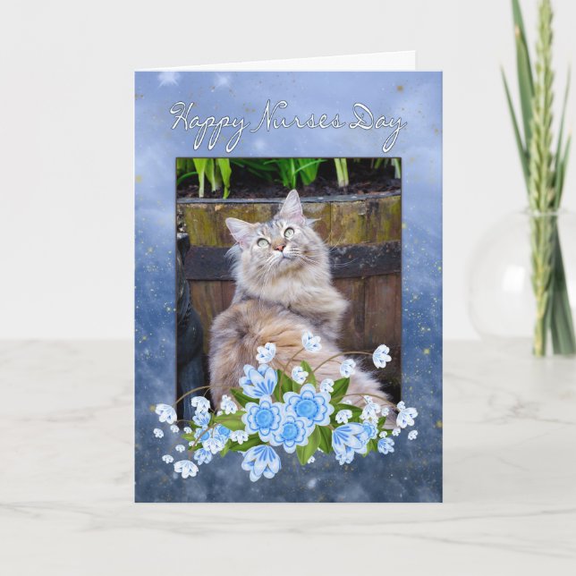 Nurse's Day Card, Maine Coon Cat, Cat Nurse's Day Card (Front)