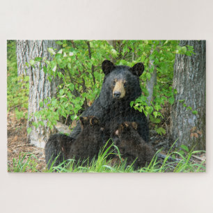 Nursing Black Bear and Twin Cubs Jigsaw Puzzle