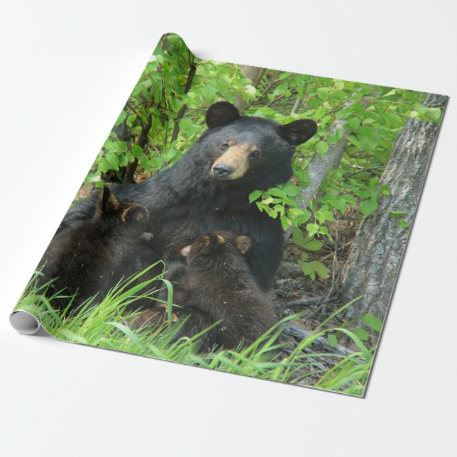 Nursing Black Bear and Twin Cubs Wrapping Paper (Unrolled)