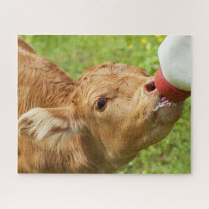 Nursing Bottle Baby Calf Jigsaw Puzzle