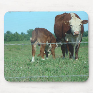 Nursing Calf Mouse Pad