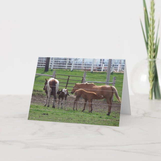 Nursing Foals Card (Front)