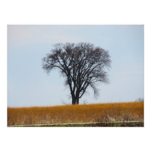 "Nurtured in Bloodshed" Photo Print