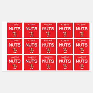 Nut Allergy Colourful Waterproof Square Sticker