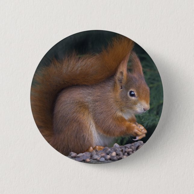 Nut Brunch Badge 2 Inch Round Button (Front)