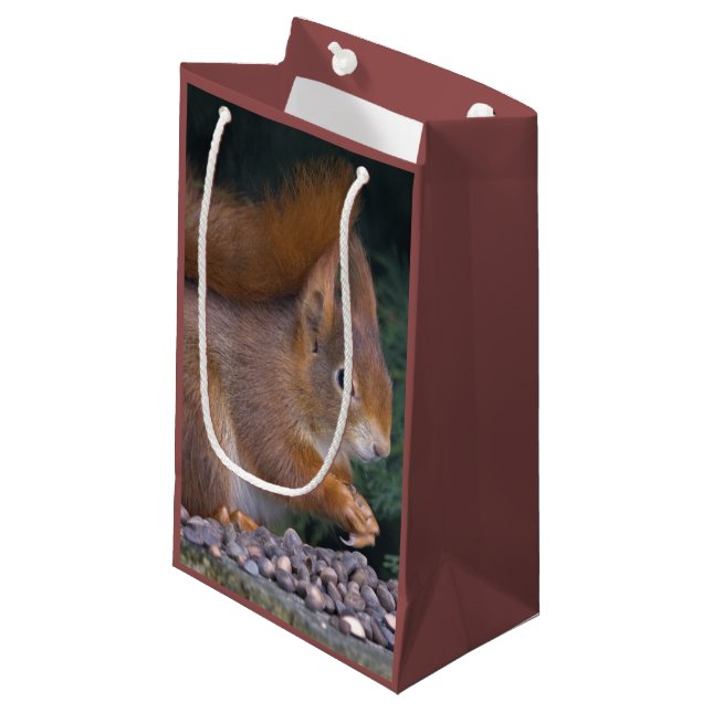 Nut Brunch Gift Bag (Front Angled)