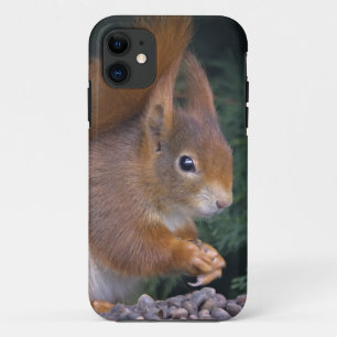 Nut Brunch iPhone 5 Case