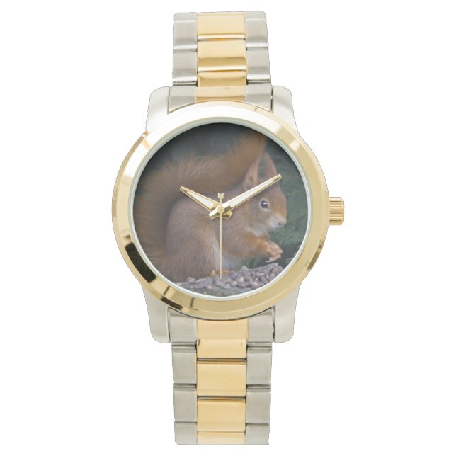 Nut Brunch Watch (Front)