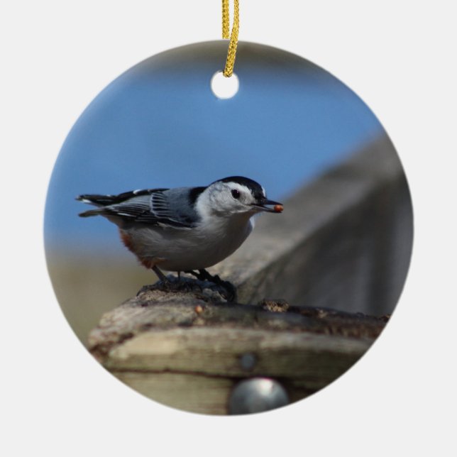 Nut Hatch ornament (Front)