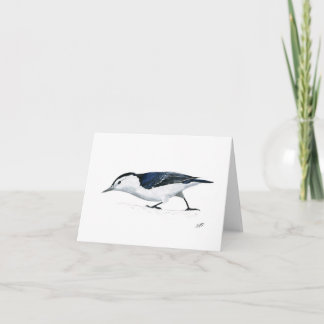 Nuthatch à pois blanc