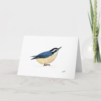 Nuthatch à poitrine rouge