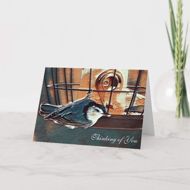 Nuthatch at Feeder - Blank Thinking of You Card (Front)