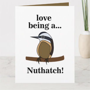 Nuthatch Bird Backyard Birder Birdwatcher Card