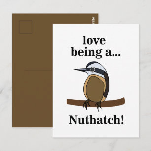 Nuthatch Bird Backyard Birder Birdwatcher Postcard