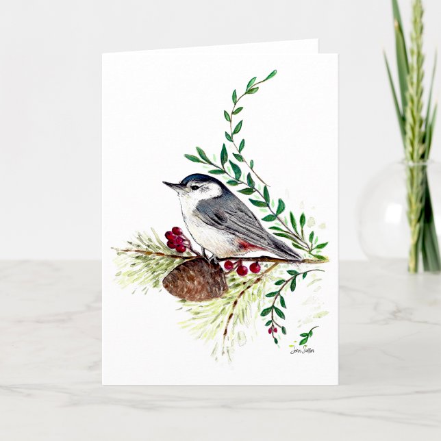 Nuthatch Bird  Card (Beautiful Nuthatch Songbird Art from Jenn's Emporium.)