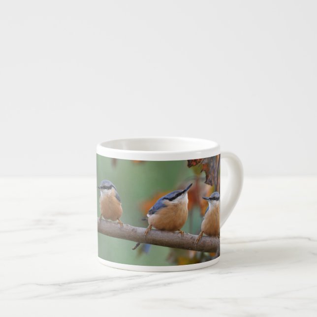 Nuthatch collage espresso cup (Front Right)