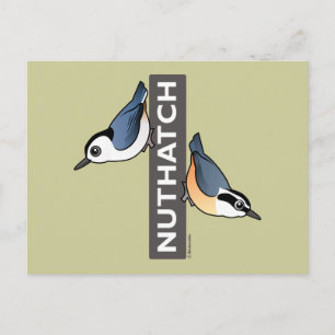 Nuthatch Fan Postcard