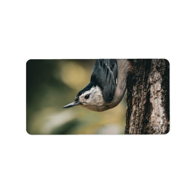 Nuthatch Label (Front)