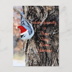 Nuthatch Merry Christmas Postcard-customize Holiday Postcard