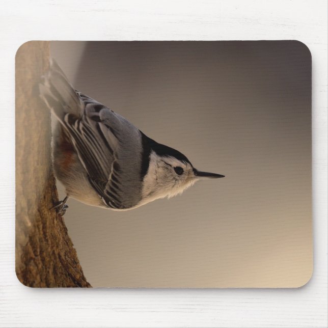 Nuthatch_Mousepad Mouse Pad (Front)