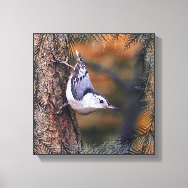Nuthatch on Tree Fall Sunset Bird Photograph Canvas Print (Front)