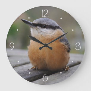 Nuthatch photo large clock
